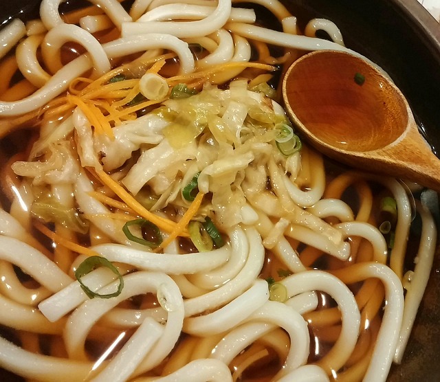うどん　日本食
udon Japanese Food noodle